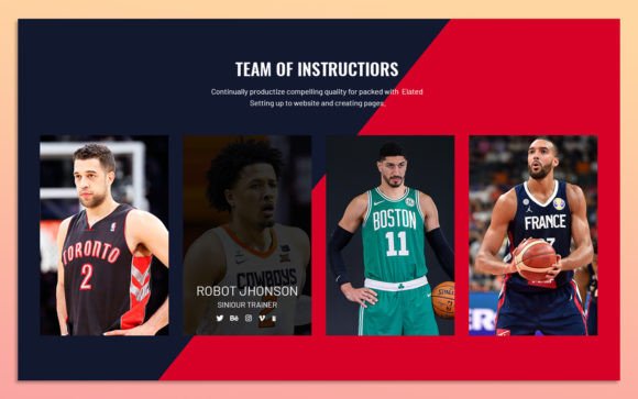 17 Team Member UI Elements