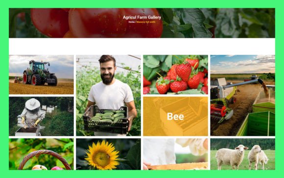 23 Portfolio UI Elements for Modern Design